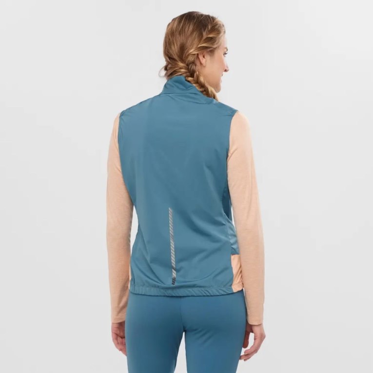 Salomon Light Shell Women's Vest Blue | CA 63B91